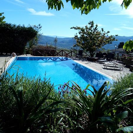Casa Mezzuola Agriturismo Willa Greve in Chianti Zewnętrze zdjęcie