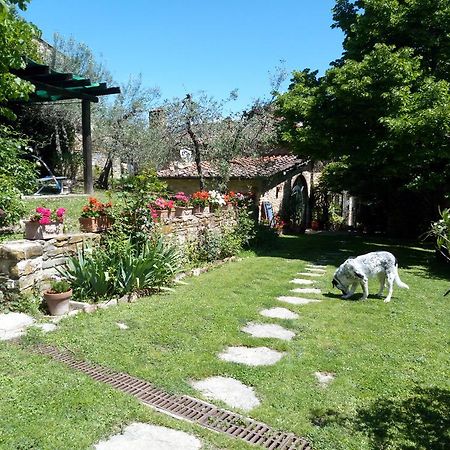 Casa Mezzuola Agriturismo Willa Greve in Chianti Zewnętrze zdjęcie