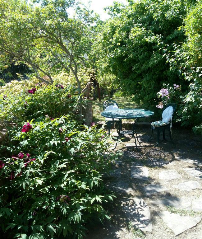 Casa Mezzuola Agriturismo Willa Greve in Chianti Zewnętrze zdjęcie