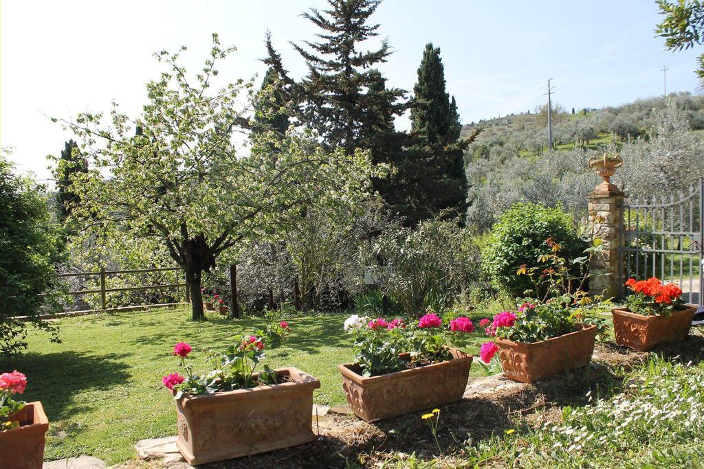 Casa Mezzuola Agriturismo Willa Greve in Chianti Zewnętrze zdjęcie