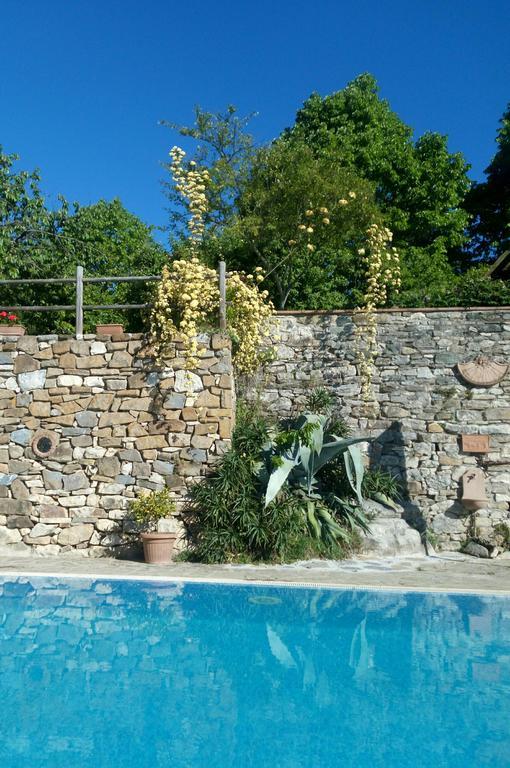 Casa Mezzuola Agriturismo Willa Greve in Chianti Zewnętrze zdjęcie
