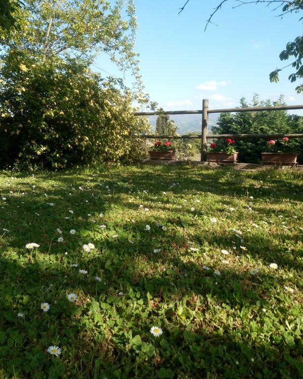 Casa Mezzuola Agriturismo Willa Greve in Chianti Zewnętrze zdjęcie