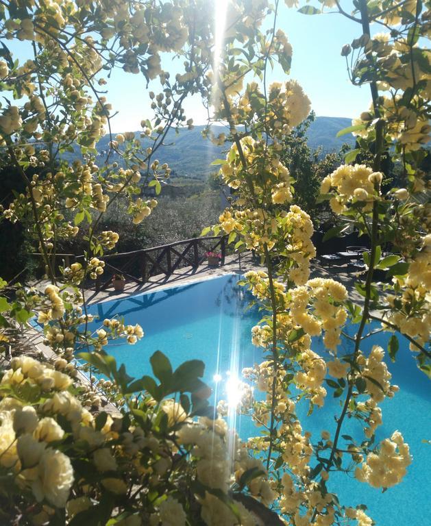 Casa Mezzuola Agriturismo Willa Greve in Chianti Zewnętrze zdjęcie