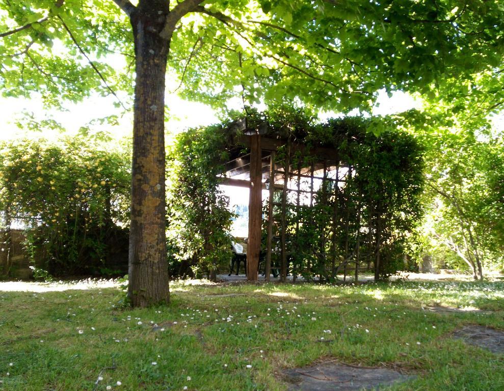 Casa Mezzuola Agriturismo Willa Greve in Chianti Zewnętrze zdjęcie