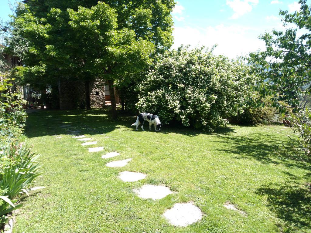 Casa Mezzuola Agriturismo Willa Greve in Chianti Zewnętrze zdjęcie
